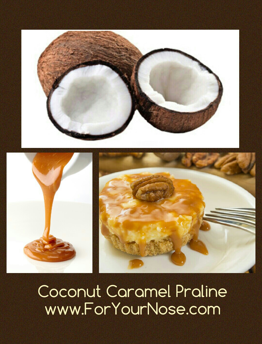 coconut caramel praline fragrance