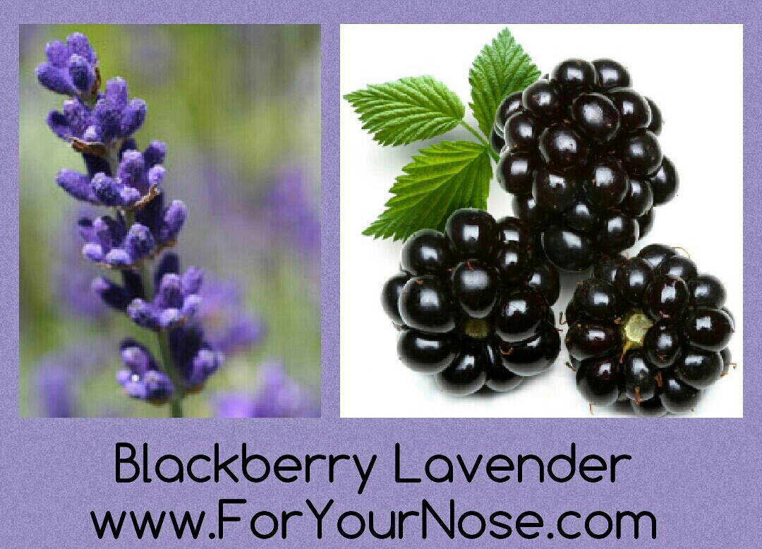blackberry lavender fragrance