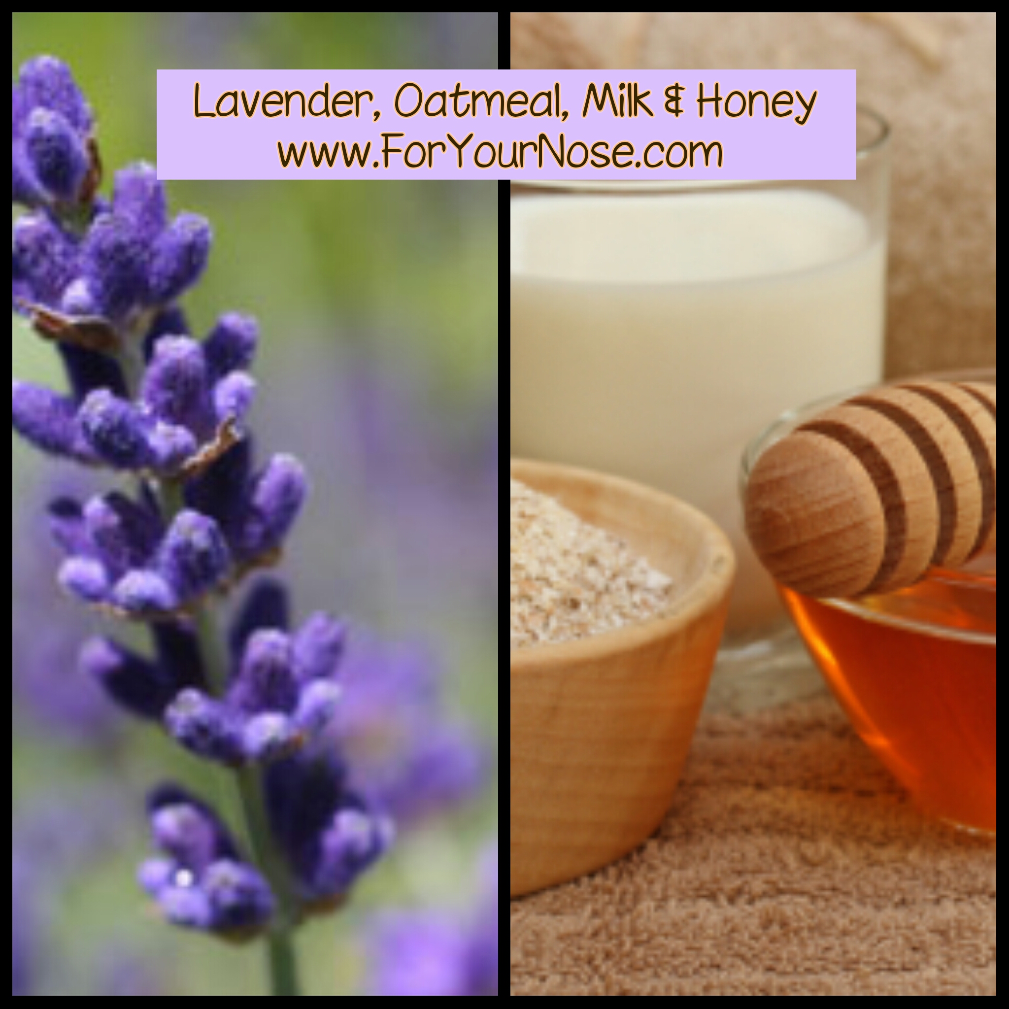lavender, oatmeal, milk & honey fragrance